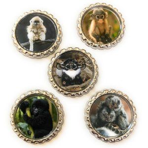 Monkey Magnet Set